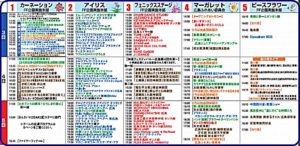 広島フラワーフェスティバル2019