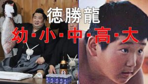 http://yumenohana333.com/sumo-tokukeisho-grade/