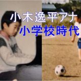 小木逸平アナに兄弟はいる？アナウンサーになったキッカケは小学校の頃の姉にあり！