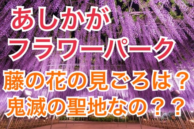 あしかがフラワーパークの藤の花の見頃がいつ 鬼滅の刃の聖地とそっくり 見どころをたっぷりご紹介 All Stars Labo