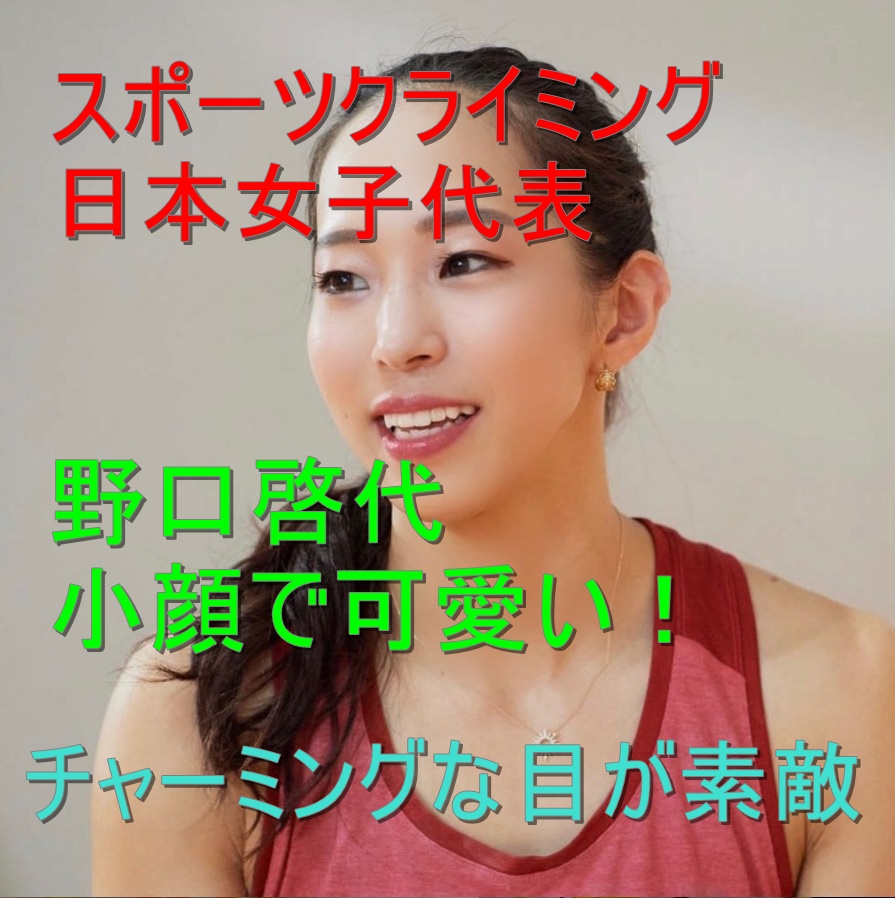 スポーツクライミング日本女子代表の野口啓代は小顔で可愛い チャーミングで鋭い目がまた素敵 All Stars Labo