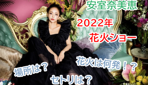 【2022】安室奈美恵の花火ショーは何発上がる？場所やどこで何人まで？気になるセトリも大調査！？